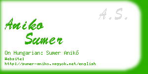 aniko sumer business card
